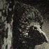 Avatar di Coloradobull