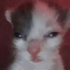 Avatar for danuis