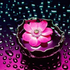 Avatar for intstlovdrive