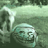 Avatar di OstFrallaN95