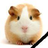 Avatar for JohnyPN