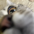 Avatar for nixxcore