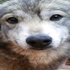 Avatar for sunburnedd