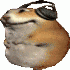 Avatar de sewnsnake