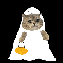 Avatar di yisus_adrian