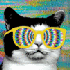 Avatar for kk-nd