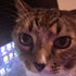 Avatar for Dre1mer