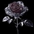 Avatar for Ruby Darkrose