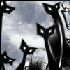 Avatar for MadameHell