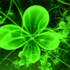 Avatar for greeeny25