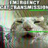 Avatar for Inumaine