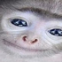 Avatar for raamens
