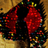 Avatar for kasiadziekan