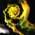 Avatar für leptogenesis