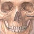 Avatar for javg23mx