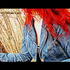 Avatar de Lena483