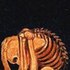 Avatar for YoQueSe666