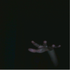 Avatar for lehelp