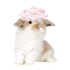 Avatar for mini
