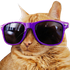 Avatar for saphirebg