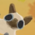 Avatar for searedbeef