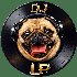 Avatar for Lucky Puggy