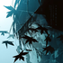 Avatar for K1sel