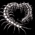 Avatar for B3rrygutz
