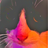 Avatar for LaughingStock_