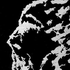 Avatar di Romollo