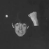 Avatar for kvertiop