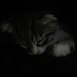 Avatar for uuxe