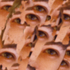 Avatar di marfusheneka