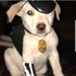 Avatar for chris_1414
