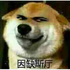 Avatar för shibe_