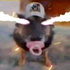 Avatar for Burningfish3