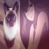 Avatar for catirl