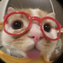 Avatar for fugmaballs