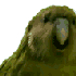 Avatar for loiccv