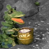 Avatar for craigbullionss