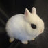Avatar for likeweplanned