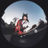 Avatar for cristianlastfm1