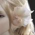 Avatar for incorpora