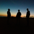 Avatar for animalsandmusic