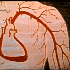 Avatar di foryouearth