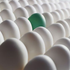 Avatar for green_egg