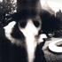 Avatar for areyouokaykiddo