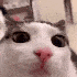 Avatar for SpaceCat705