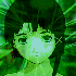 Avatar for mrkz0d