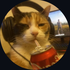 Avatar for D1TryX